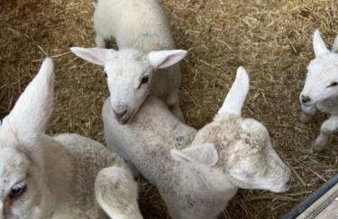 Coach House - detached cottage within 135 acres - Foto 34