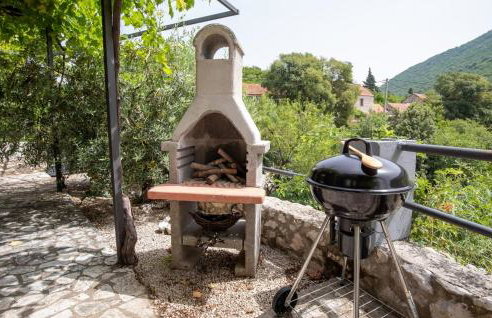 Rural house Janjić - Foto 29