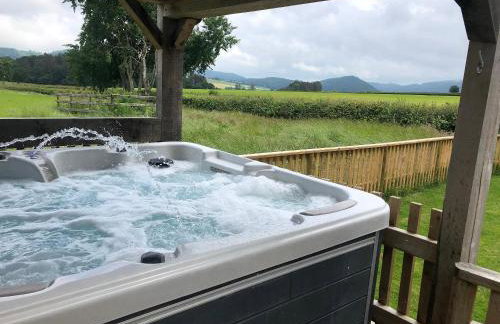 Upper Close - Uk10873 - Photo 21