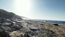 Domo S'apposentu - Foto 3