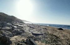 Domo S'apposentu - Foto 3