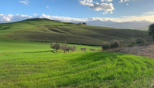 Agriturismo Poggio Tobruk - Foto 5, Garden