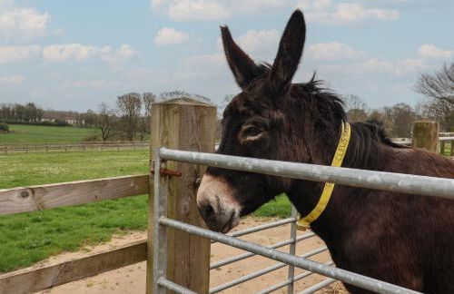 Keepers Cottage - Foto 23