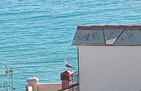 Piccolo rifugio marino - Foto 65