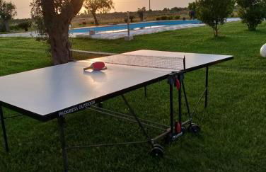 Gli Ulivi di Gino - Foto 61