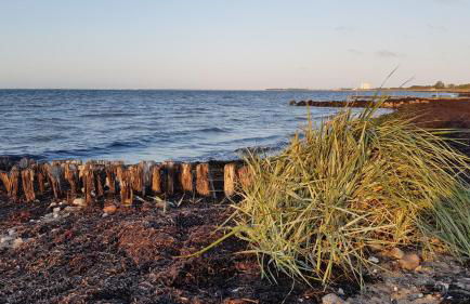 Fehmarn-Residenz - Foto 21