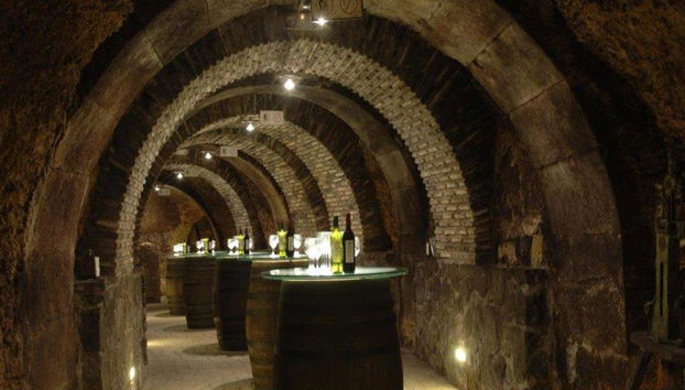 Cata de vinos en La Rioja con visita guiada a Haro - Tour de día completo - Foto 4