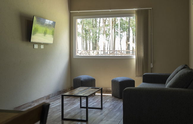 Olivos de Monte - Foto 14