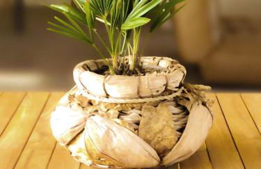 pénates océanes - Foto 3