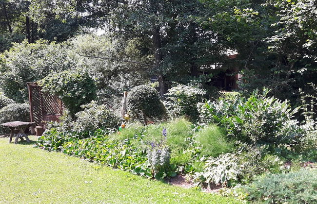 Sellerich Forest Hideaway - Foto 20