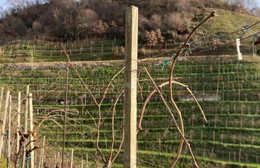 AlMi House - Colline del Prosecco - Foto 27
