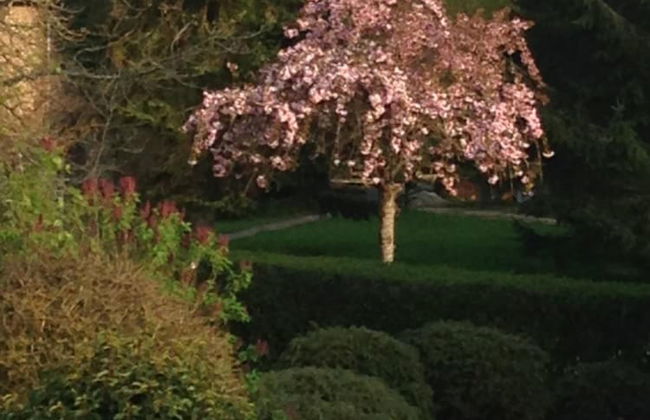 Le Moulin de Dannemarie - Foto 48