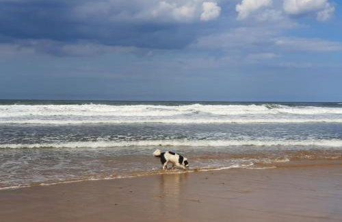 Sandstone Cottage - Foto 31