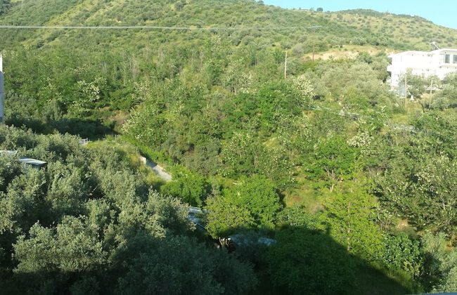 Anemos studios - Foto 22