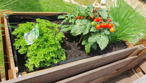 FeWo Weismark - Foto 5