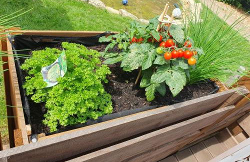 FeWo Weismark - Foto 5