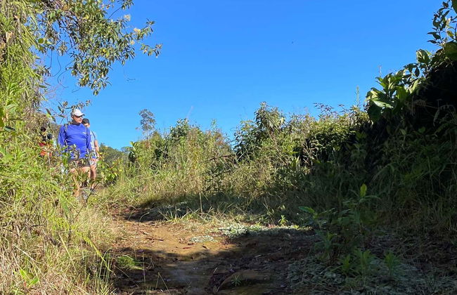 Tour de 4x4 por Jardín - Foto 4