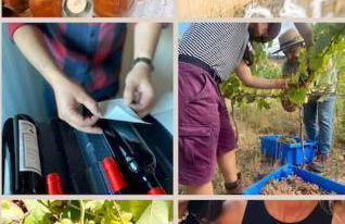 Boutique Surf House in Surf Paradise - Foto 76