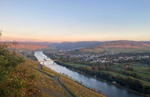 Ferienwohnung im Moselland - Foto 22