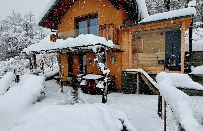 Vineyard cottage Soncni gric - Foto 27