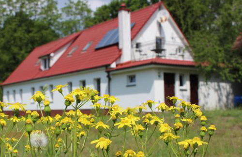 Agroturystyka Rębowo - Foto 9