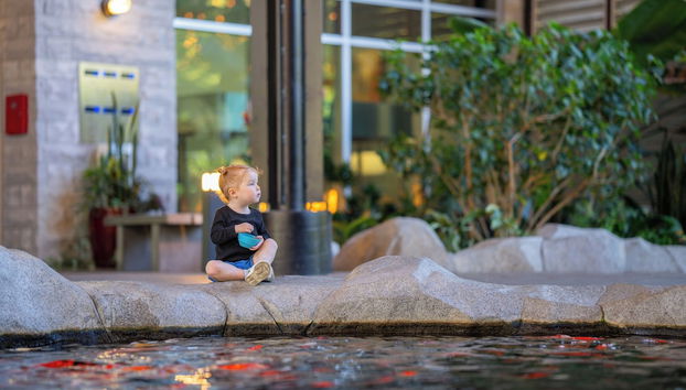 The Parkside Hotel & Spa - Foto 4, Vestíbulo