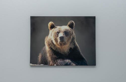 Sunrise Central - Foto 29