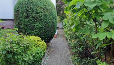 Apartment Kastanienallee Rosenthal - Foto 2