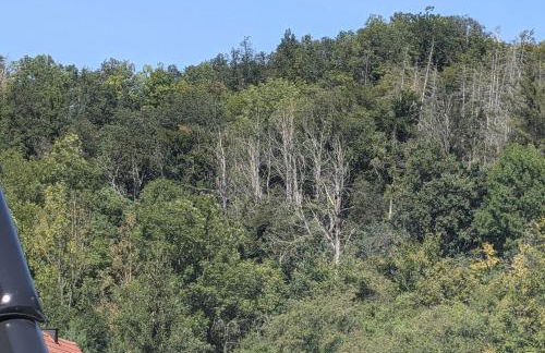 Ferienwohnung mit Ausblick in Wimmelburg - Foto 15