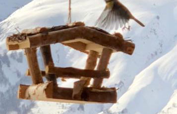 Chalet Lodge Oberig Exclusive - Foto 50