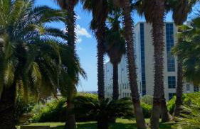 San Michele Apartments&Rooms - Foto 6