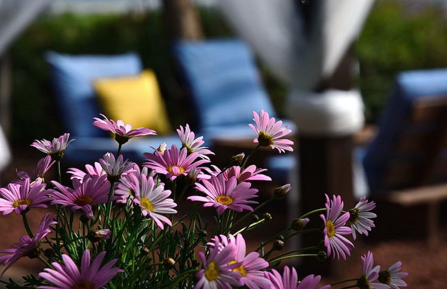 Mul Kineret Suites - Photo 49