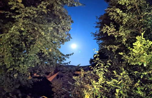 Haus am Wald Radlerrast - Foto 26