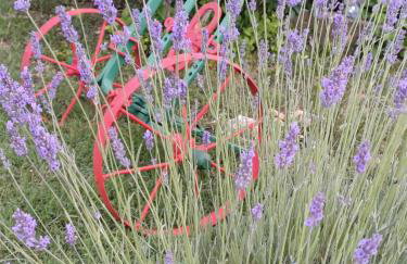 Kuća za odmor Silvano - Foto 16