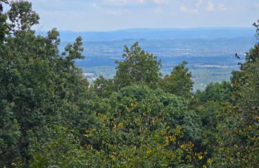 Lula Lake Cabin - Foto 14