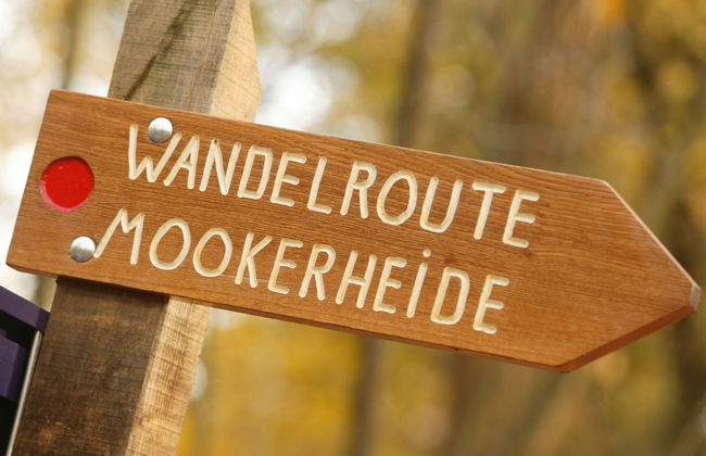 Holiday Home in Gelderland Near Nature Trails - Photo 18