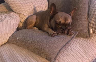 Everythings Rosey at Rosecroft - Foto 31