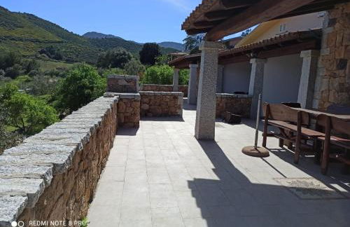 Appartamento immerso nel verde - Foto 35