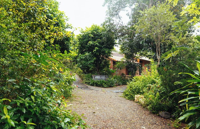 Suoi Rao Ecolodge - Foto 23