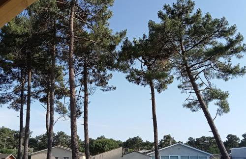 Santa Monta - Foto 27