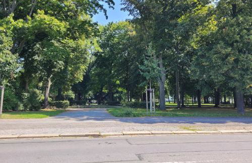 Schloßchemnitz No 42 Bergstr - Foto 39