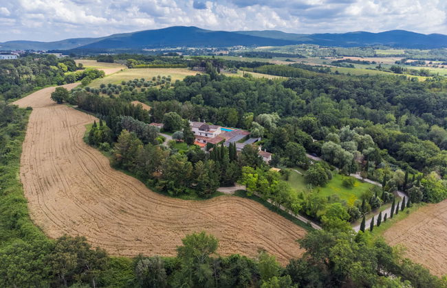 Bardeggiano - Caterina 3 (COL246) - Foto 58