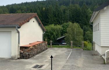 La Gentiane bleue, vue lac Saint Point - Foto 41