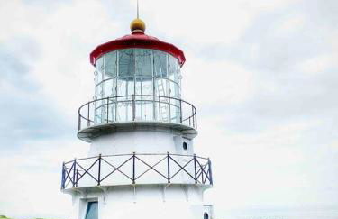 Shelter Cove Brand New Beautiful Ocean View Home - Foto 19