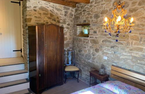 Magic Mola - Foto 14