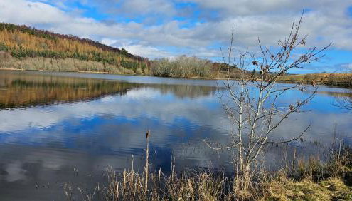 Linsmore Lodges - Foto 3