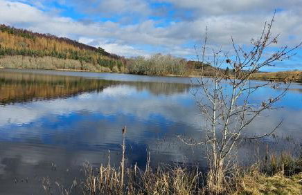 Linsmore Lodges - Foto 3