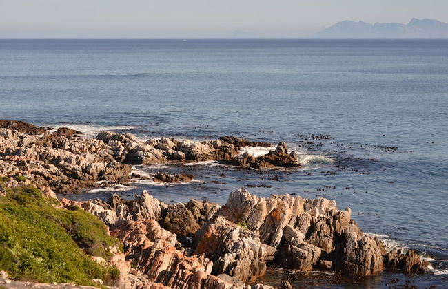 The Lookout at Whale Cove - Photo 21