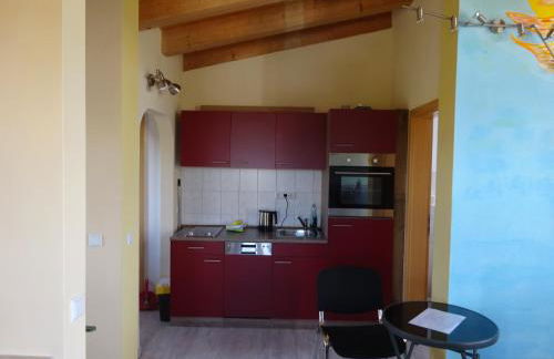 Palmengarten - Foto 37