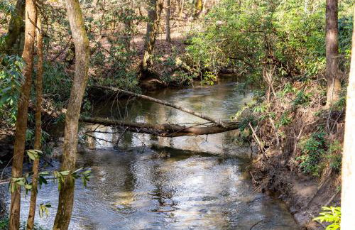 Bear Creek - Foto 58